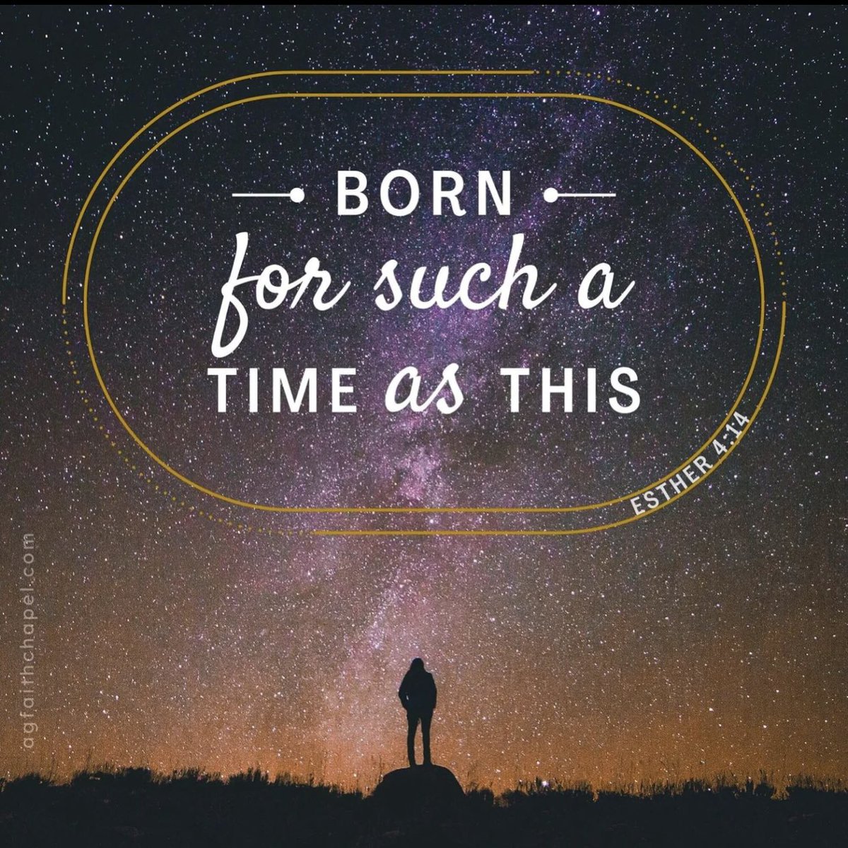 Glamorous Destinations tweet media