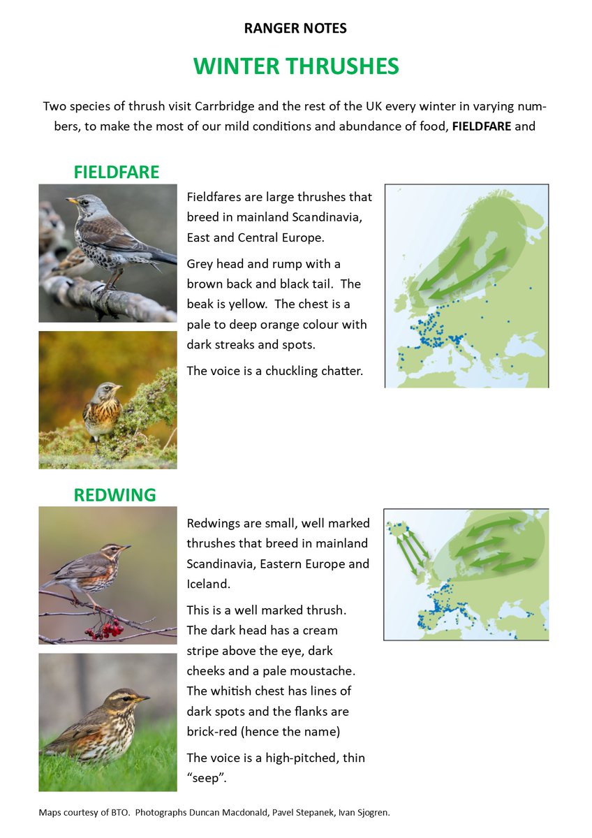 Carrbridge Nature tweet media