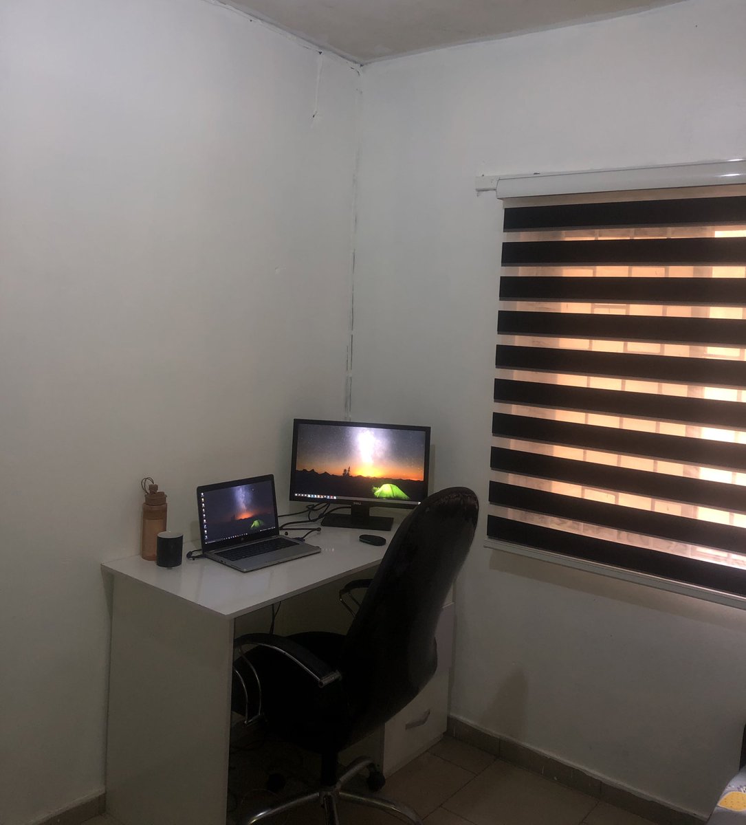 Helianthus 🌻 tweet media