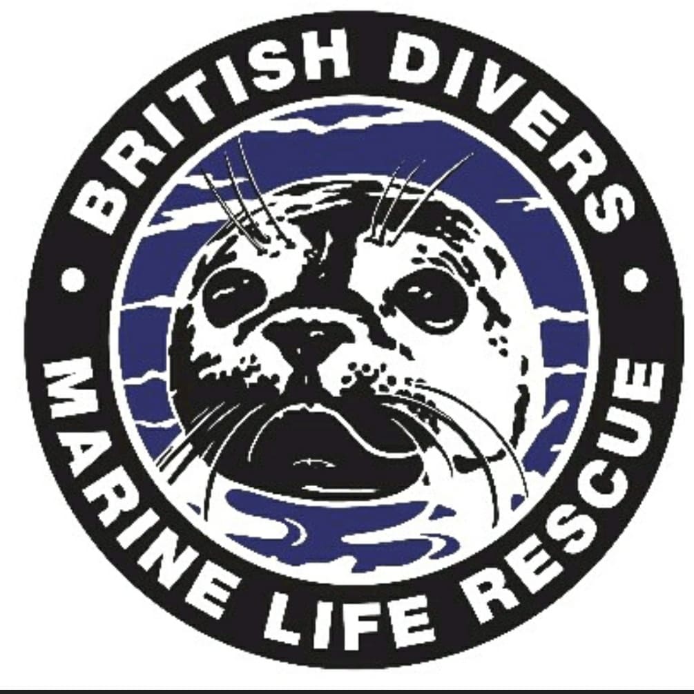British Divers Marine Life Rescue Trailer will be on the Harbour Esplanade on Sunday 7th November at 12 noon.

The rescue trailer holds all the essential equipment the area team need when they are called out to a Whale, Dolphin or Porpoise stranding.