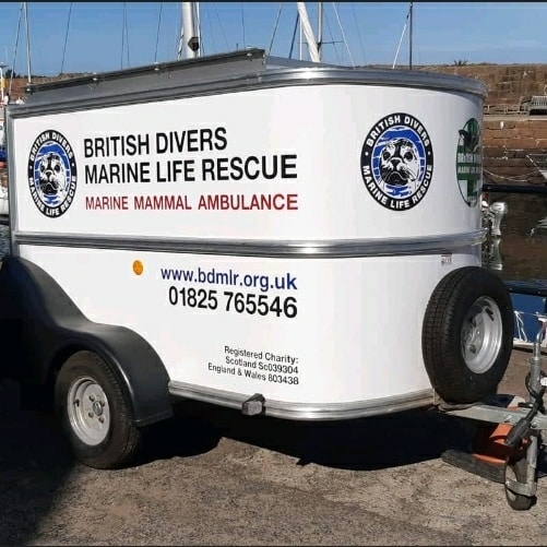 nbharbour's tweet photo. British Divers Marine Life Rescue Trailer will be on the Harbour Esplanade on Sunday 7th November at 12 noon.

The rescue trailer holds all the essential equipment the area team need when they are called out to a Whale, Dolphin or Porpoise stranding. https://t.co/OVBEpgdSOJ