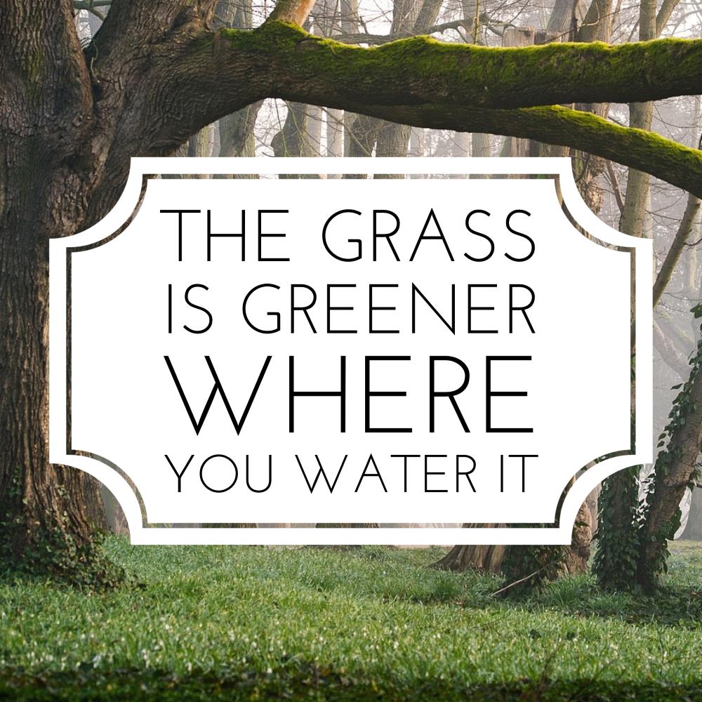 NikiBray1's tweet photo. Here’s your morning reminder... Yes, I'm talking to you! Water your grass! #believeinyourself #youcandoanything #smallthingsaddup https://t.co/7Tsj9t8PSv