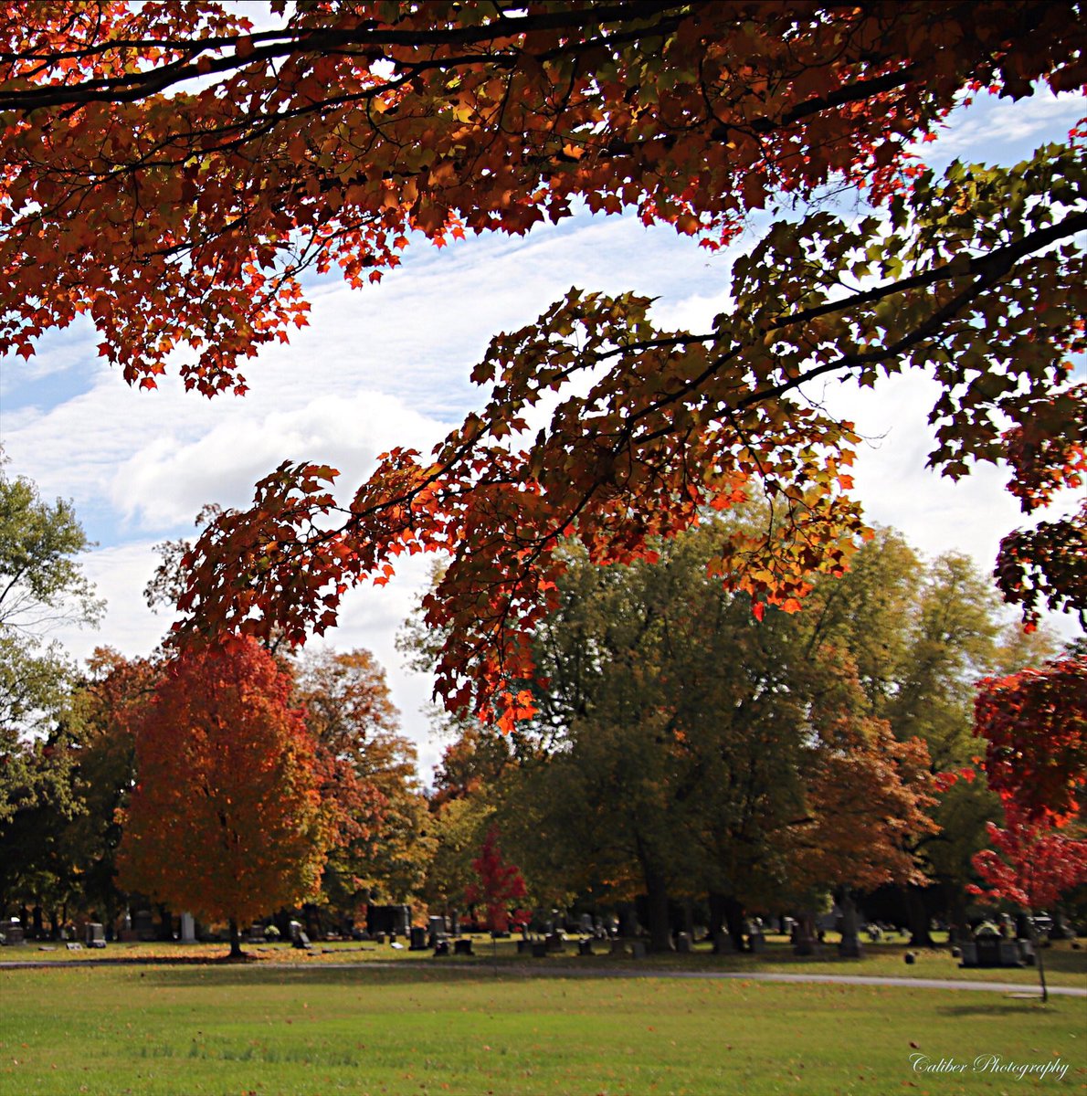 files66's tweet photo. Autumn Visit To The Ancestors🍁 #MaplePark #Photography @ThePhotoHour https://t.co/qyAi8dgWxM