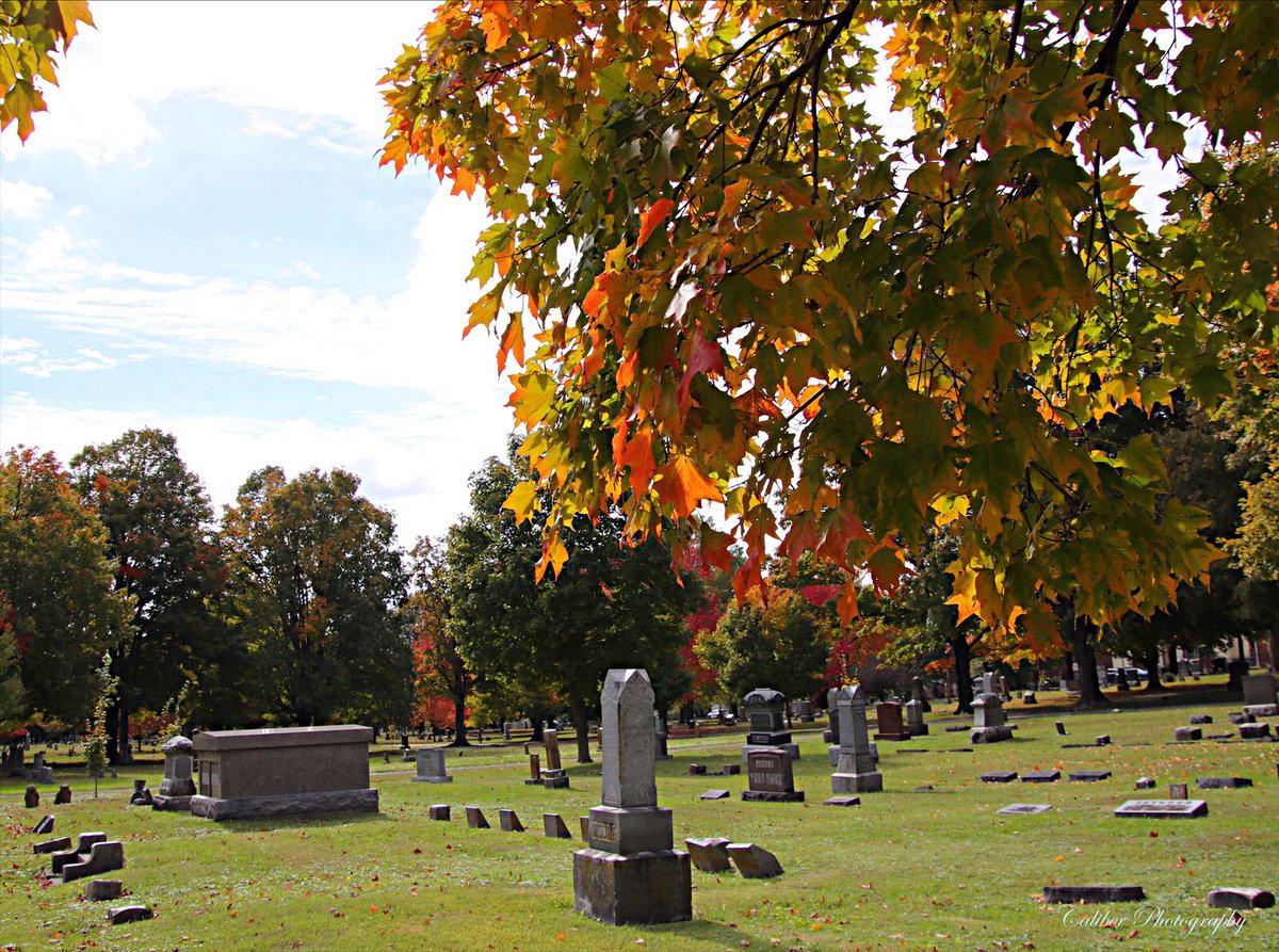 files66's tweet photo. Autumn Visit To The Ancestors🍁 #MaplePark #Photography @ThePhotoHour https://t.co/qyAi8dgWxM