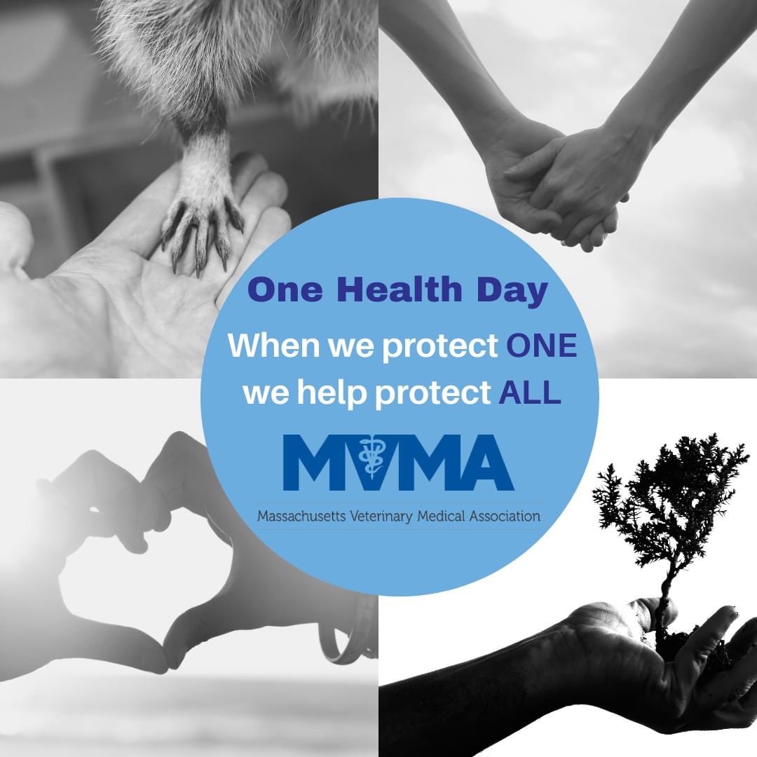 Massvetmedassoc's tweet photo. Happy One Health Day!
Now more than ever, we must address the shared health threats between human-animal-environment. By protecting one, we can help protect all.
Learn more at https://t.co/N0VddbElhX
#OneHealthDay #OneHealth #VetMed #GlobalHealth https://t.co/5uYrcSyjew