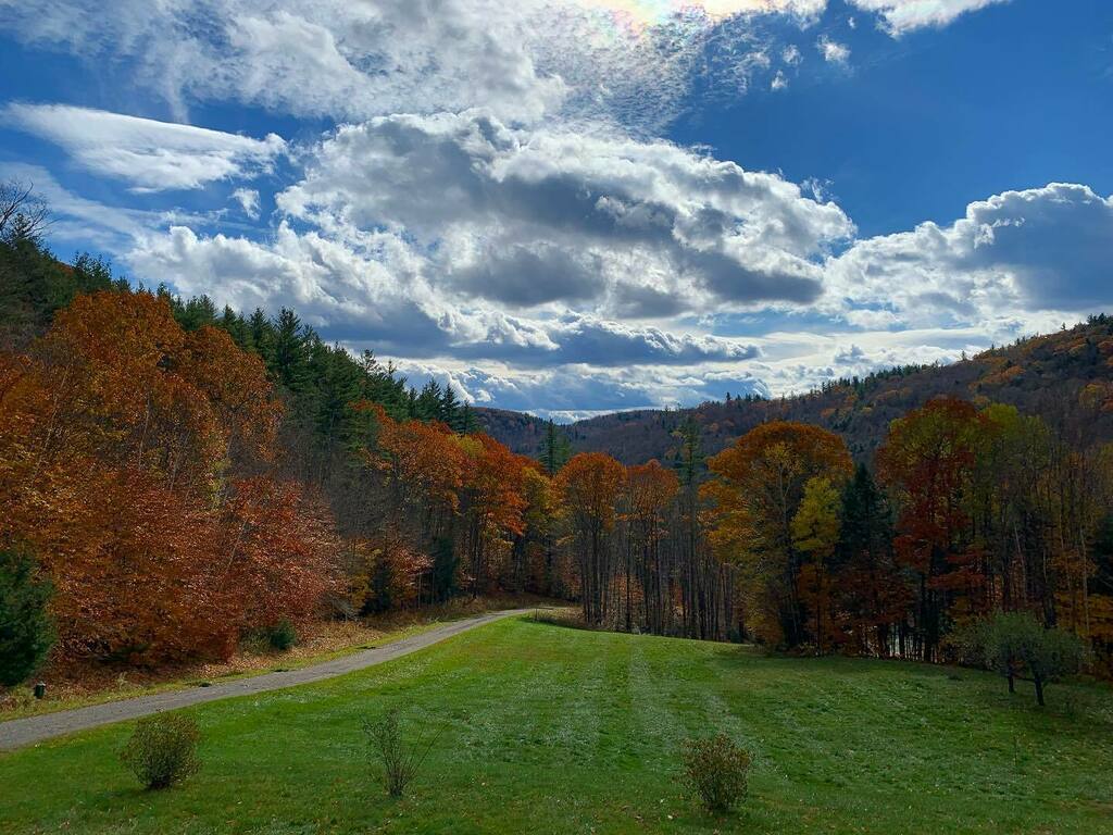 fieldstonearts's tweet photo. Progress

I am still in the process of relocating my shop to Vermont, which is proving to be an enormous undertaking. Slow progress, but hope to have some semblance of order in the next few weeks. 

As a stand in, here is a shot from our kitchen window y… https://t.co/VXhnsMv1M6 https://t.co/eqRkkf3TbM
