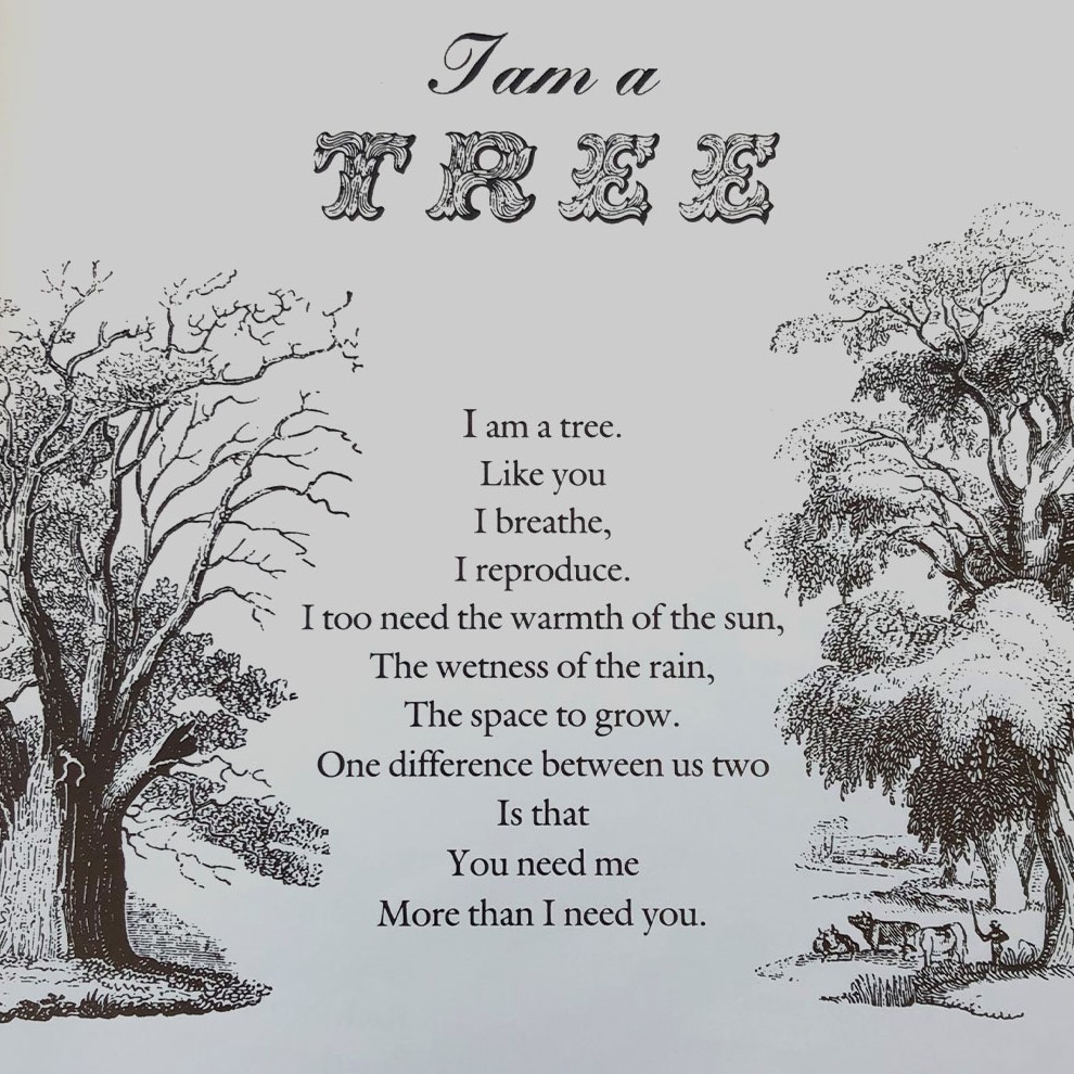 BathSpaUni's tweet photo. The second Pat Moon poem we are sharing focuses on the importance of trees to our lives and reminds us just how fragile these gentle giants can be. 🌲🌳

Sign the #BathSpaClimatePledge to commit to doing what you can to protect our planet: https://t.co/DGcWFRTJqi
#COP26 https://t.co/wF8B2vbvTY