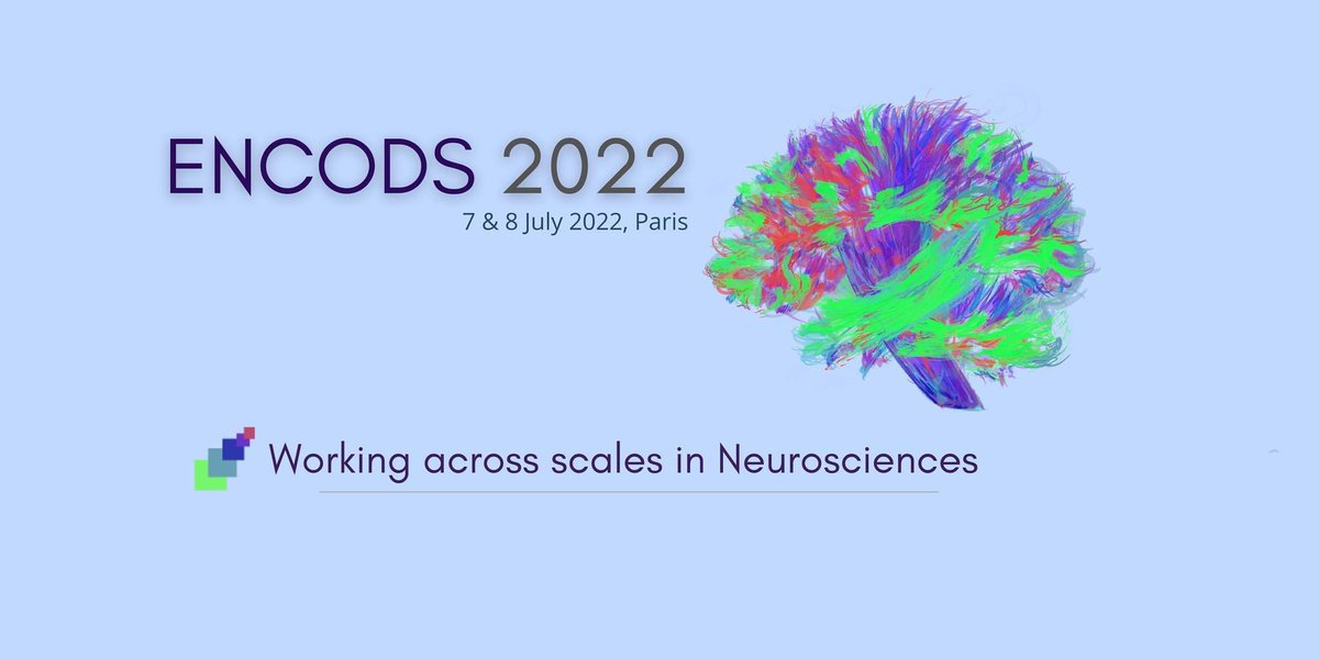 encods2024's tweet photo. Our theme for this year 2022 is “Working Across Scales in #Neuroscience”. This highlights the different dimensions that, as neuroscientists, we seek to work across. (1/2) https://t.co/f4zubmPk1D