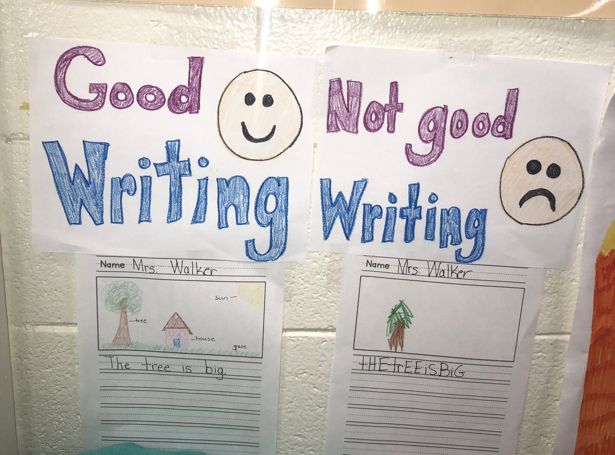 Lauren Caccavone_CCSD tweet media