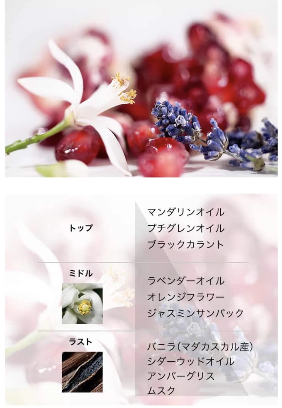 最高。このヘアミスト無敵かもしれない。人生で初めて値段を見ずに「これ買います！」となった