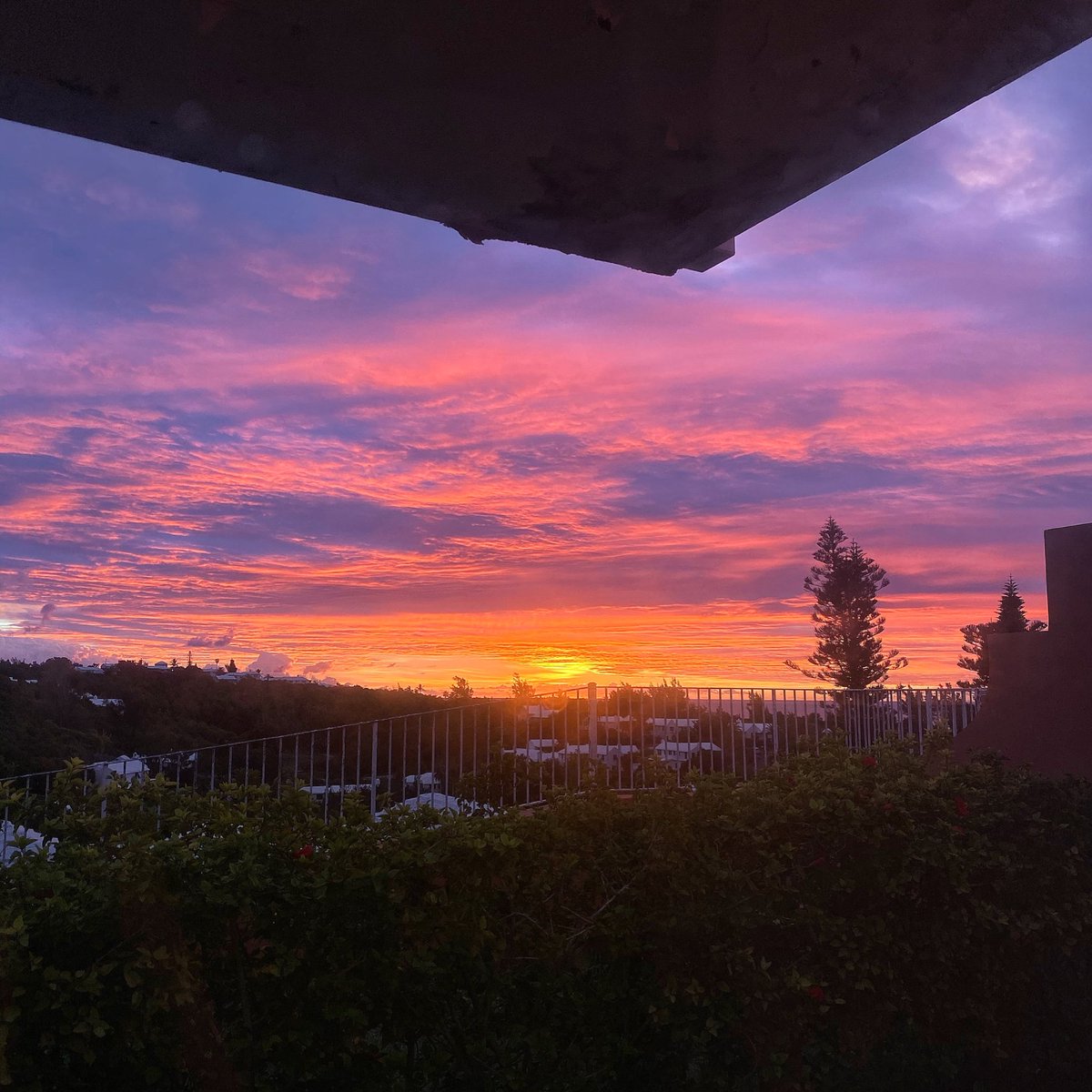 Every morning is a new beginning 🌅🙏🏽