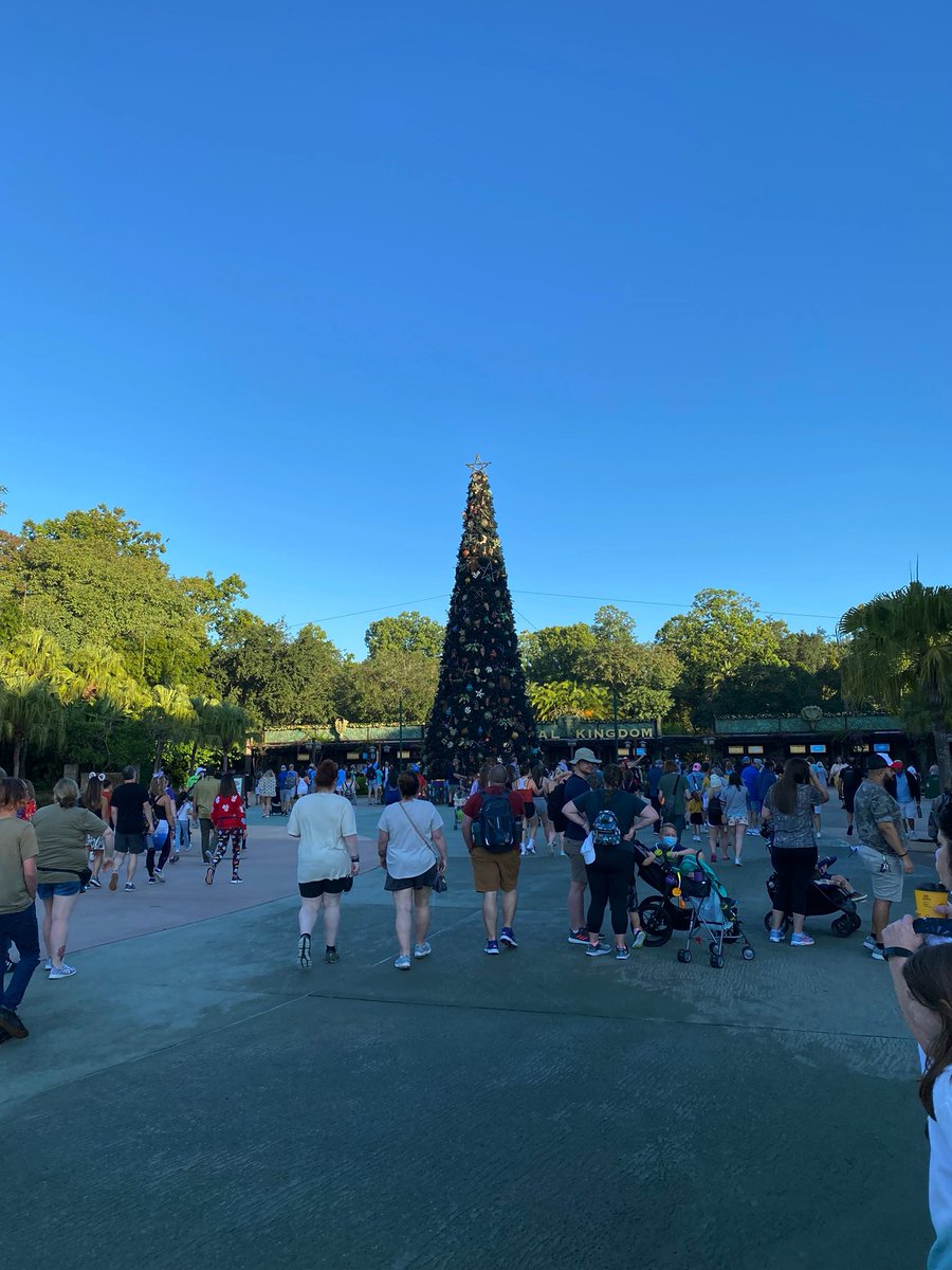 DisneyUnlock's tweet photo. Christmas is here at #animalkingdom @disneyworld #disneyworld https://t.co/AAlR7VyxGQ