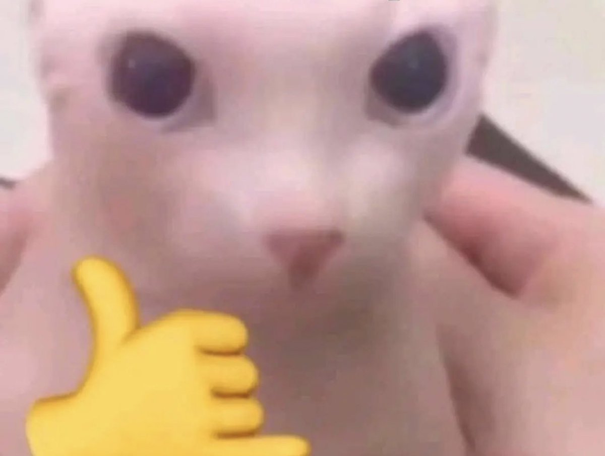 aXoZerr's tweet image. 