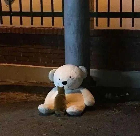 换了新款13pm  续航简直太顶了吧
吊打我上个888和865
一天一充电直接不是梦