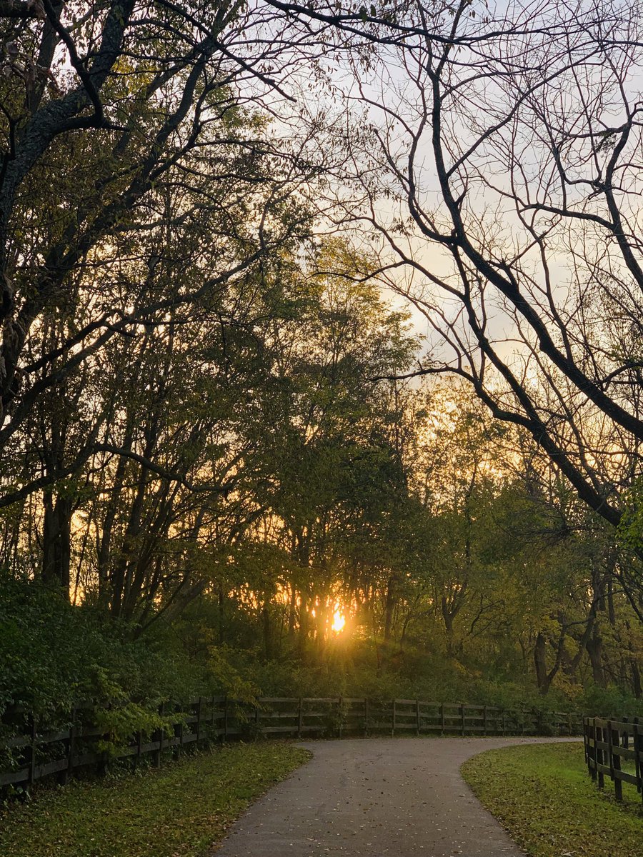 Dr. Rafael E. Pérez-Figueroa tweet media