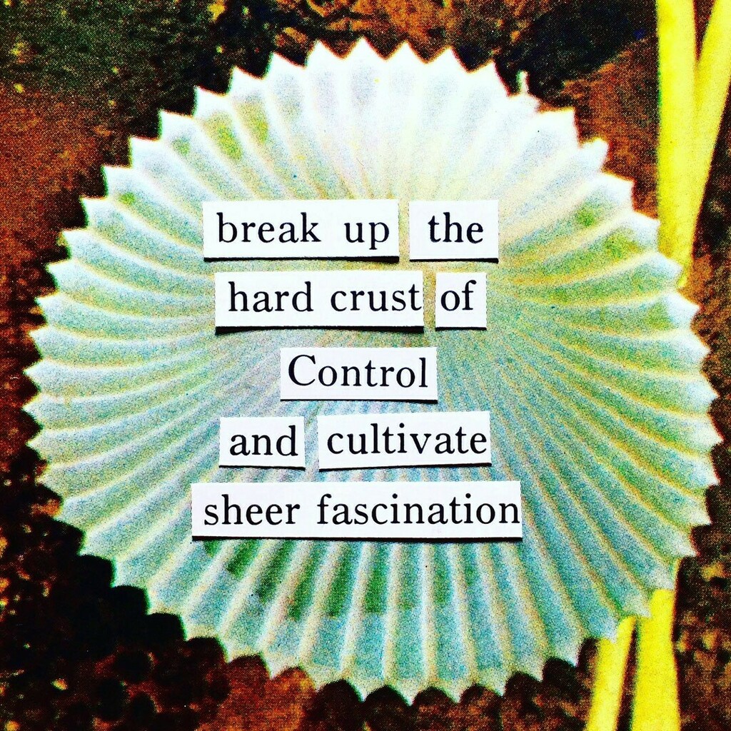 thistlequiff's tweet photo. I have been trying so hard to make my ideas come to life that I am in danger of no longer enjoying the process… and what would be the point of that?
.
Nota bene: I may not post much as we slide toward the end of the year. Looking back I can see that … https://t.co/i6Ns3RKmQy https://t.co/xj1ZgMiG5W