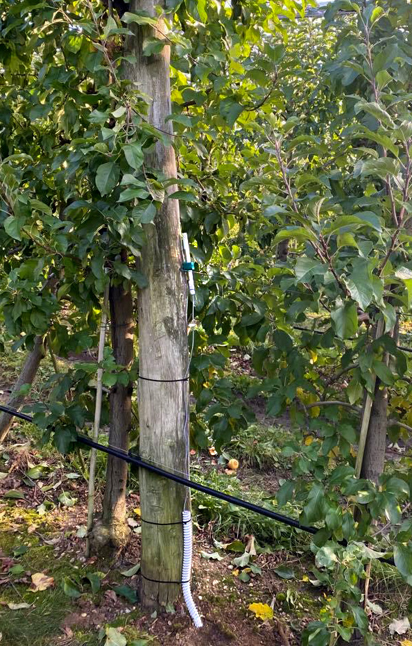 senzemo_company's tweet photo. We deployed our Senstick Soil moisture sensors in an apple orchard 🍎in Prekmurje, Slovenia. The sensors will help identify the failure of the irrigation system. 💦
In collaboration with @ITC_cluster and supported by @H2020DEMETER. 💪

#iot #lora #soilmoisture #irrigation https://t.co/IcxQ94TsKF