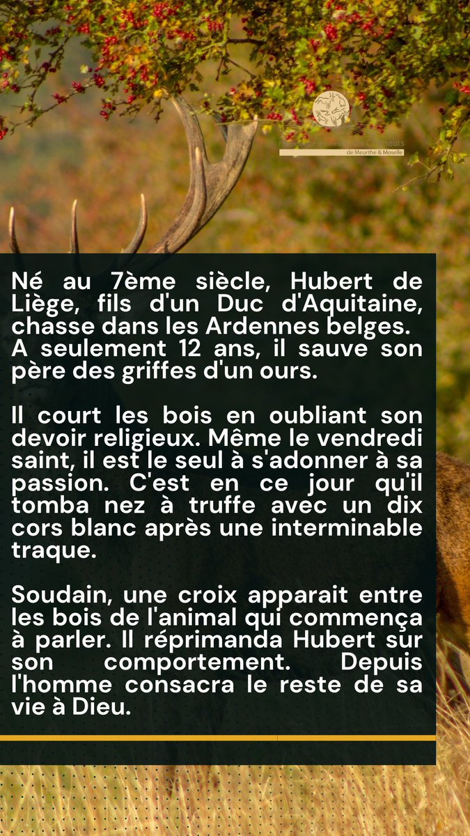 Fédération Départementale des Chasseurs 54 tweet media