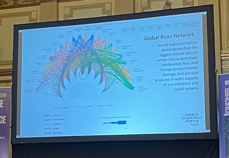 ulrich seega tweet media