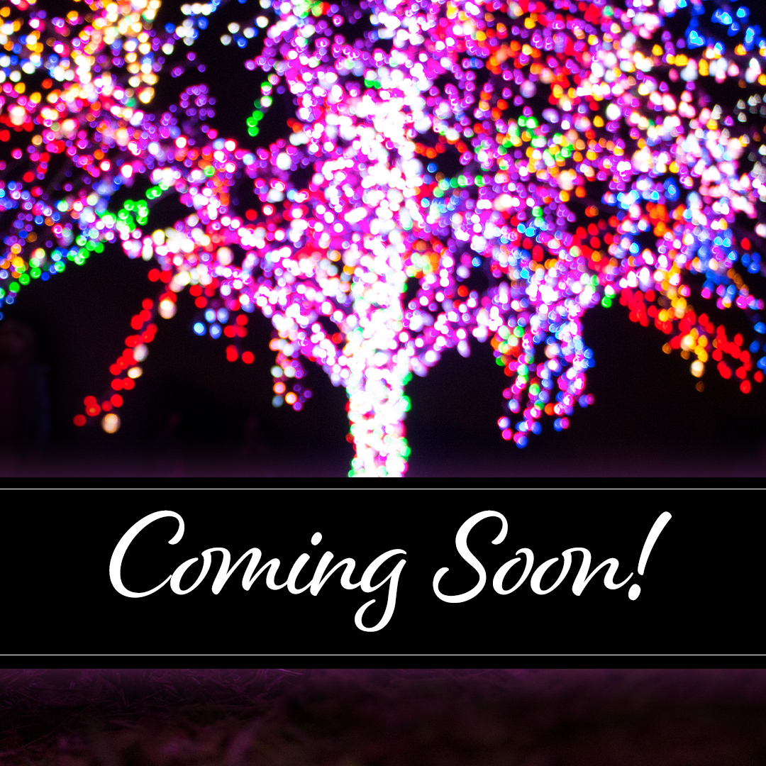 LSMagicTree's tweet photo. We’re getting closer to the most magical time of the year!
There will be no official lighting ceremony at The Magic Tree this season. But stay tuned! We’ll let you know as soon as you can come visit.🎄 https://t.co/Gd01D6Yt1H