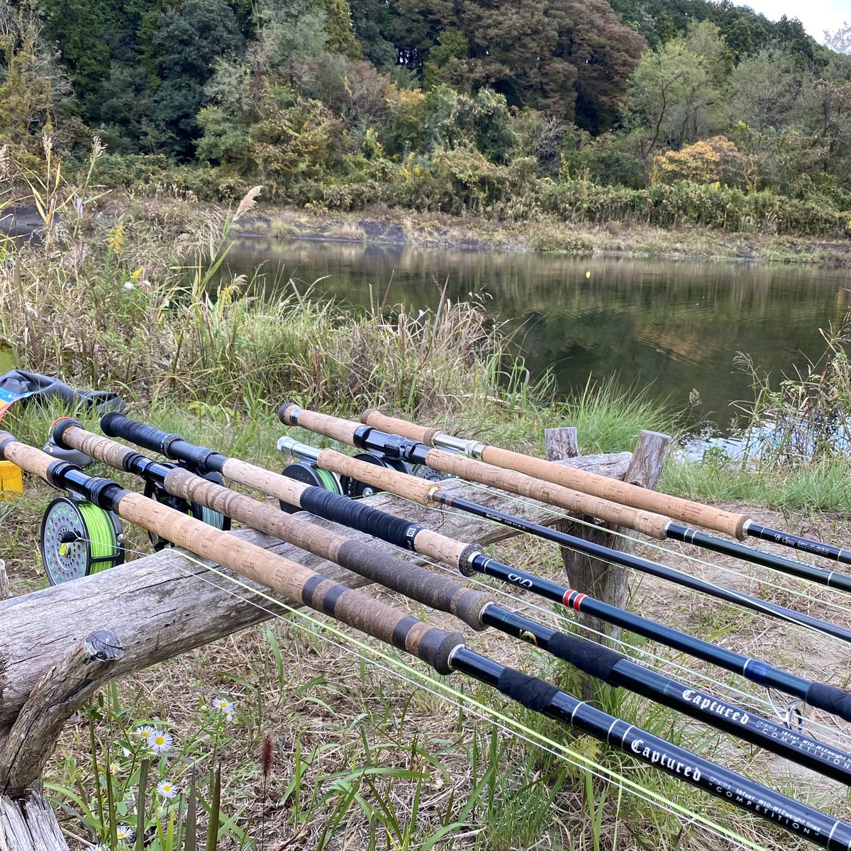 sculpinolive's tweet photo. 「キャス練」（鬼怒川）
今オフ初の長紐ブン投げ練習😁
#flyfishing
#flycasting
#speyrod
#speycasting
#capturd
#CP161012
#COMPETITION
#Hardy
#St.Andrew
#SRSFISHINGGEAR
#キャス練
#鬼怒川 https://t.co/3QoMiIjK4k