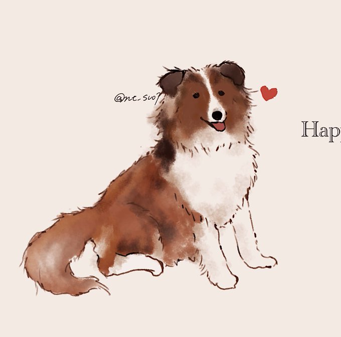 シェルティのtwitterイラスト検索結果