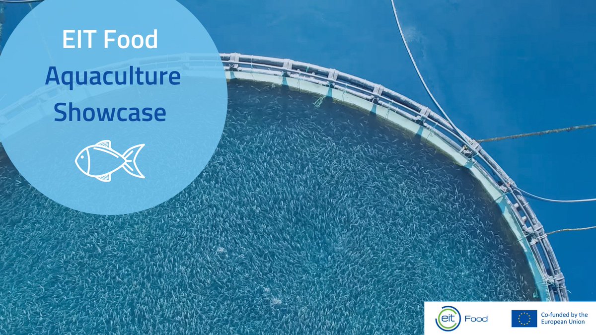 Have you registered for our Aquaculture Showcase Event?
Join us on 23 Nov to discover how we are driving innovation in the #aquaculture sector.

You will hear from <a href="/GSA_Seafood/">Global Seafood Alliance</a>, <a href="/LuxResearch/">Lux Research</a>, <a href="/AquaPharmaLtd/">Aqua Pharma Ltd</a>, <a href="/FI_QUB/">Food Innovation at Queen's</a>, <a href="/MilcoopB/">milcoop srl società benefit</a> &amp; others!

 Register👉 bit.ly/2XJ1jea 🐟