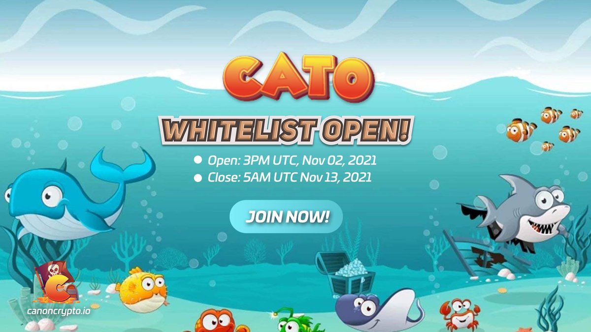 anthonynamu's tweet photo. Join the whitelist now, the IDOs are approaching, and launch continuously.
So you won't have much time to hesitate.
https://t.co/xJ0VaR8mNM

#Canoncrypto #LaunchZoneWhitelist https://t.co/QASM9NrWYs