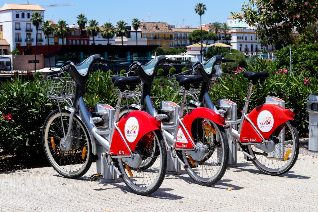 sevillaciudad's tweet image. If you come to #Seville you will be able to enjoy more than 180 kilometres of #cyclepaths and +250 @SeviciOficial stations (open 24/7).
A model of #mobility where the #bike is the main protagonist

👉visitasevilla.es/en/history/cit…
#BikeFriendly #SustainableTourism ♻️
