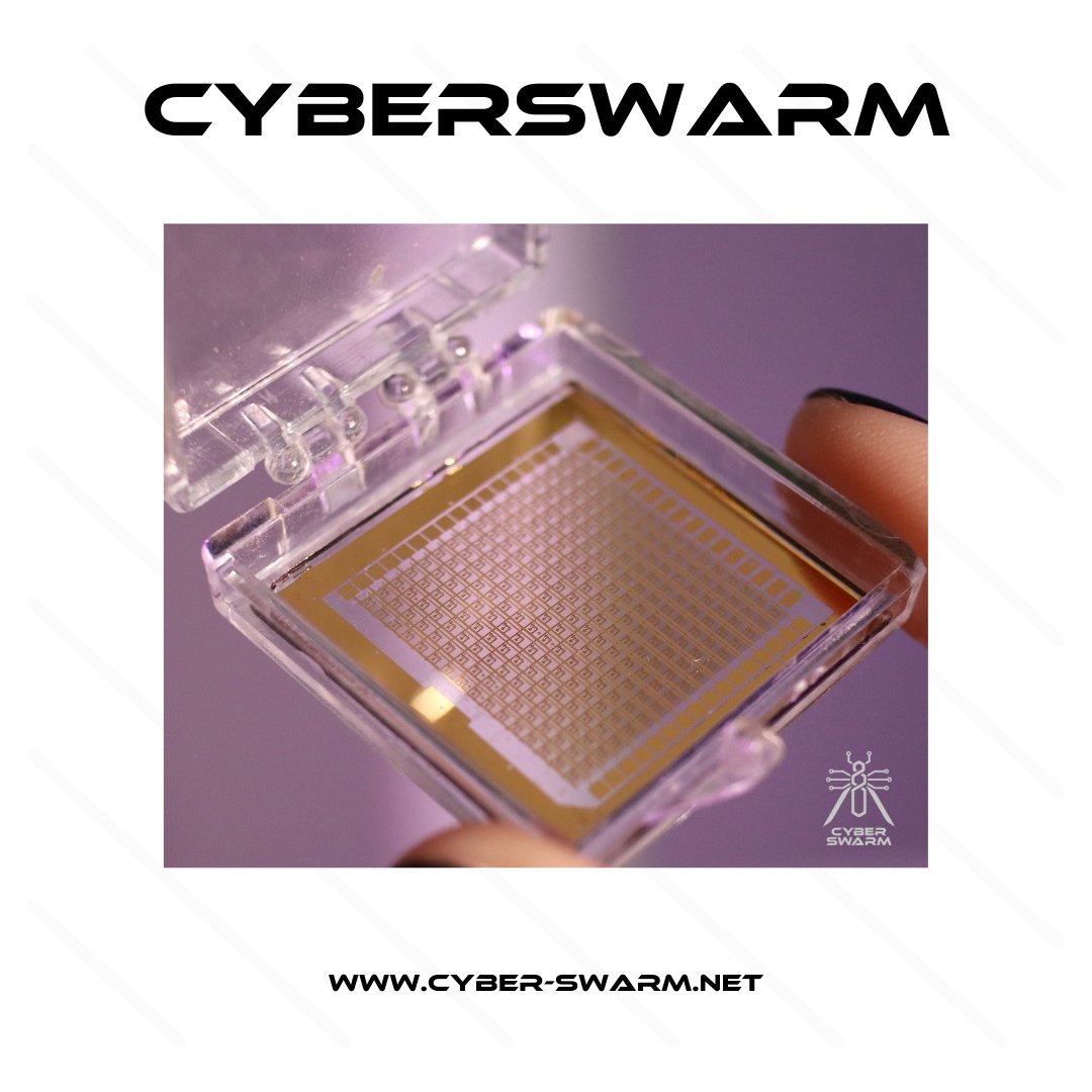 CyberSwarmInc's tweet photo. ✅Our #NeuromorphicChip can both secure and process the data locally.
🧠The biologically inspired AI components turn it into a thinking cyber security device.
#Neuromorphic #Ai #CyberSwarm #Innovation #CyberSecurity #NeuromorphicComputing #npu https://t.co/lraFR3pF3I