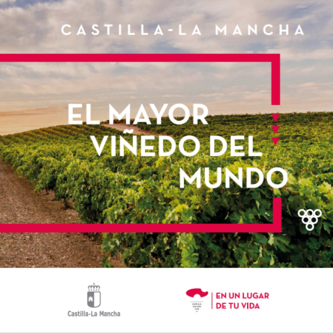turismoclm's tweet photo. #CastillaLaMancha es el mayor #viñedo del mundo, por lo que nuestros #vinos regarán con calidad y distinción tus pasos por nuestras calles y municipios.
Déjate sorprender y repetirás🤩 
@rutavinolamanchuela @rutavinomancha  @rvinovaldepenas @rutadelvinojumilla https://t.co/tJE7RJWKje