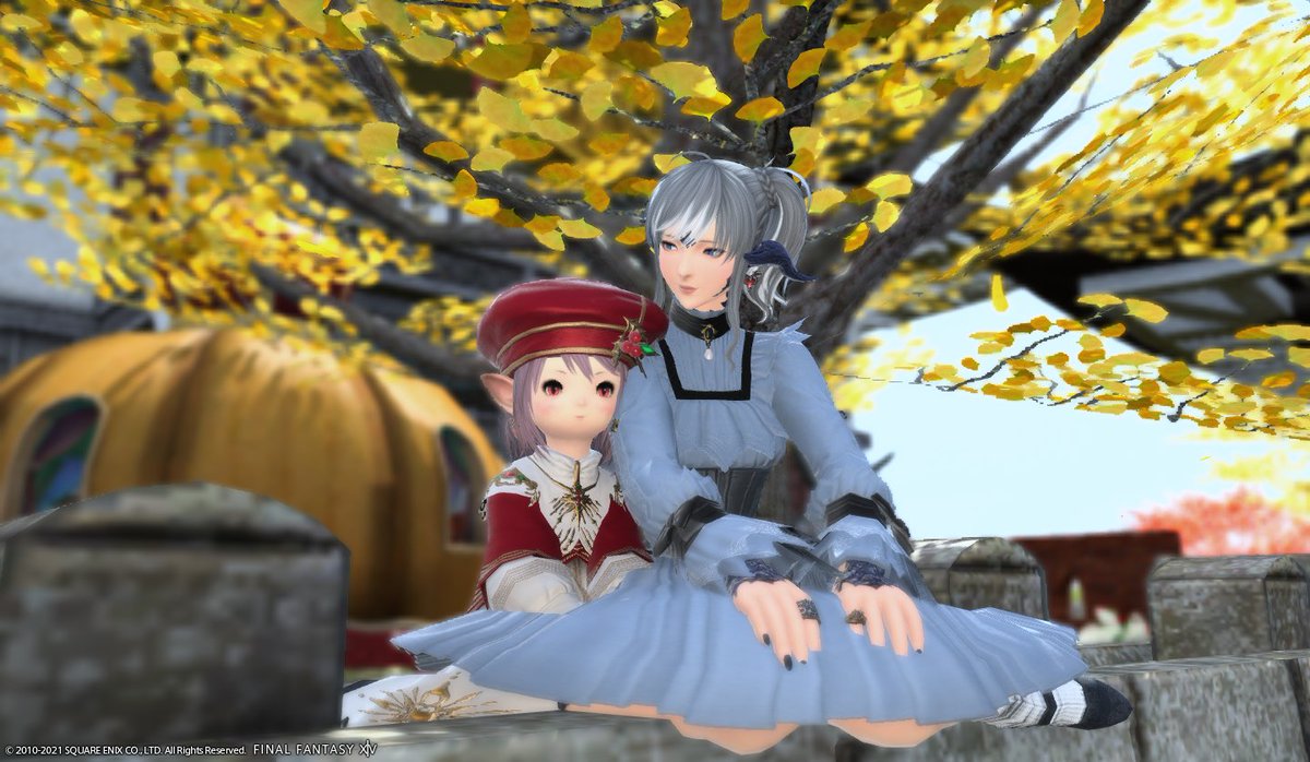 luka_xi's tweet photo. あーーー可愛い～
#FF14 #FF14SS https://t.co/tDMay8pylj