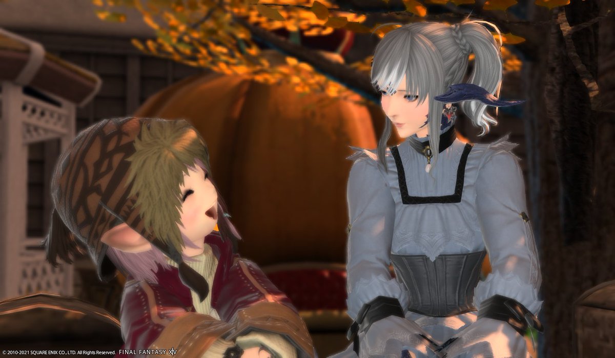 luka_xi's tweet photo. あーーー可愛い～
#FF14 #FF14SS https://t.co/tDMay8pylj