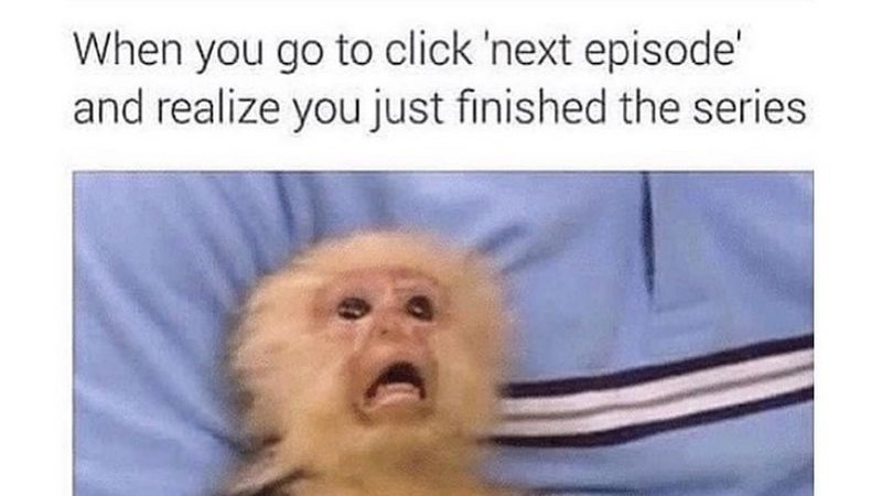 atpearthkeeper's tweet photo. Wednesday whimsy 📺📓 T.V., video, books - any recommendations for a good series? #recommendations #askingforrecommendations #series #funnymeme #crackingup #hilarious #isittheend #ohno #sayitisntso #goodseries #hilarious #sendingsmiles #laughing #WednesdayMorningWish https://t.co/TzS18jTeTp