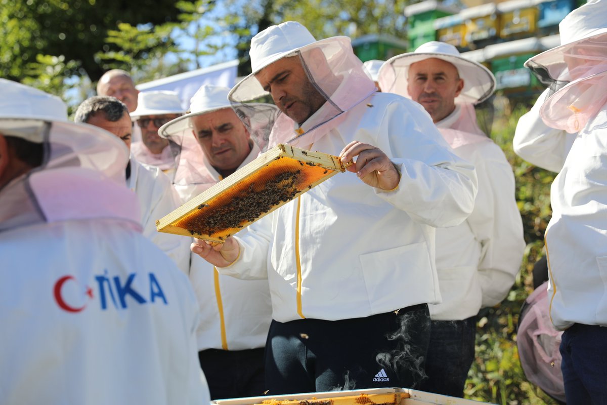 Tika_Turkiye's tweet photo. #Türkiye arıcılık tecrübesini #Arnavutluk ile paylaşıyor🐝🐝

TİKA, “Arnavutluk’ta Arıcılık Eğitimleri için Eğitmenlerin Yetiştirilmesi Programı” kapsamında 25 arıcıya teorik, laboratuvar ve kovan başında uygulama pratiklerini içeren eğitim düzenledi.
🔗
https://t.co/qP1TpDoFch https://t.co/HSUXPY77A1