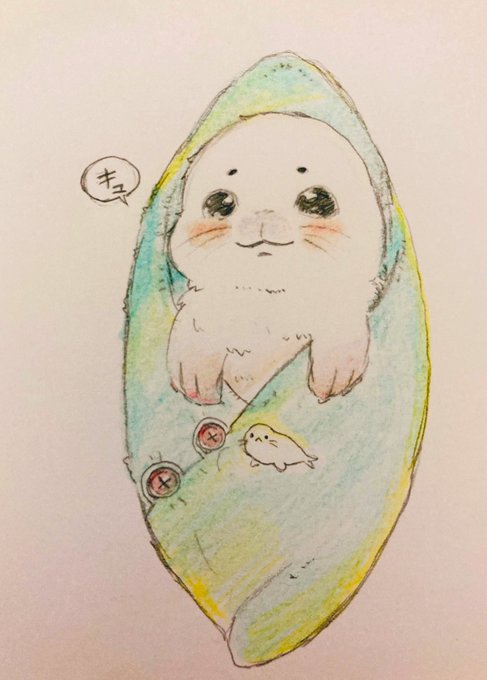 アザラシのtwitterイラスト検索結果