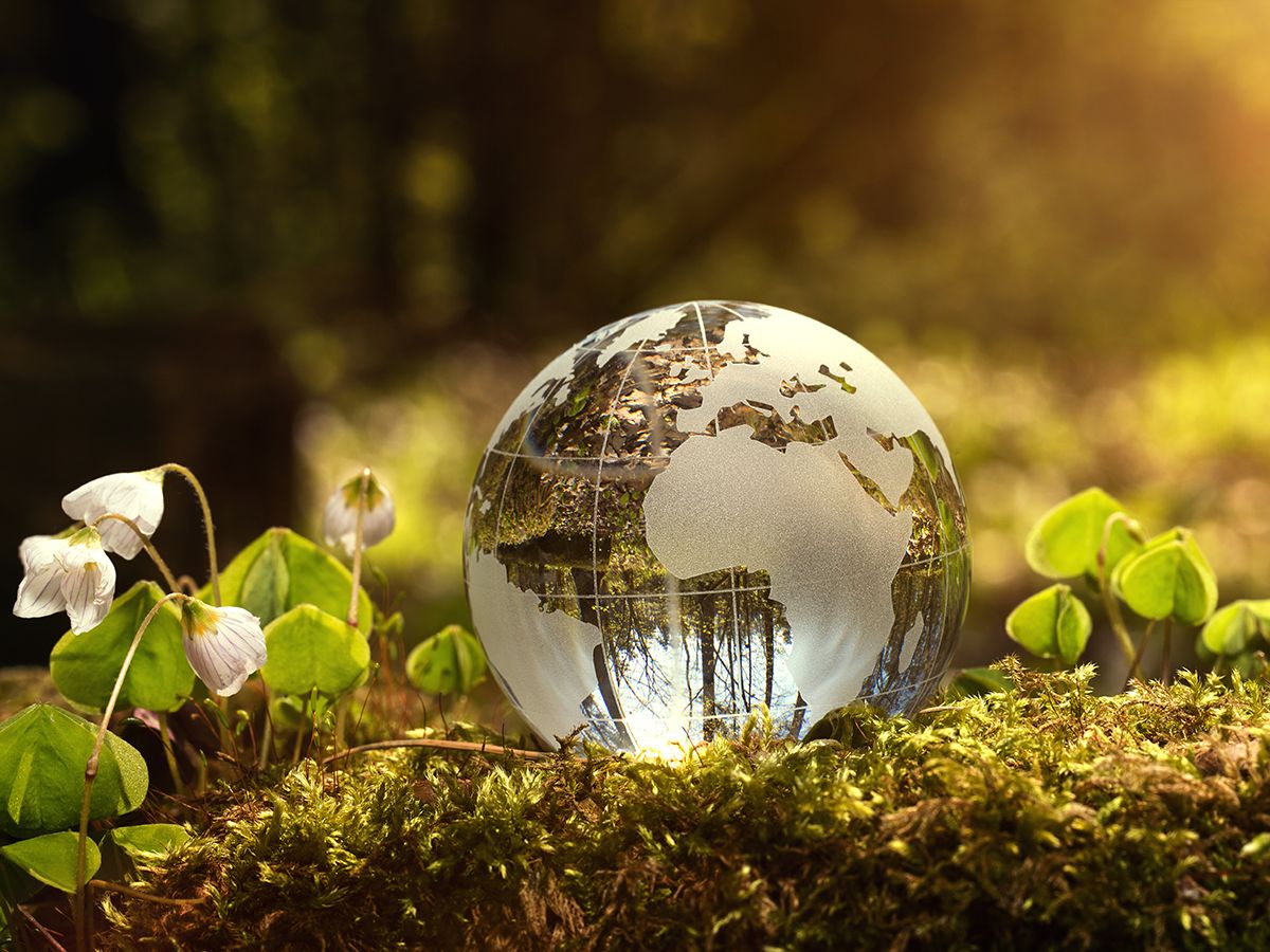 Apply to the Master’s of Environmental Sustainability program to learn how to address critical sustainability challenges facing society. 

You will learn about environmental science, economics, law, and policy and gain real-world experience. 

bit.ly/3GNxNG7