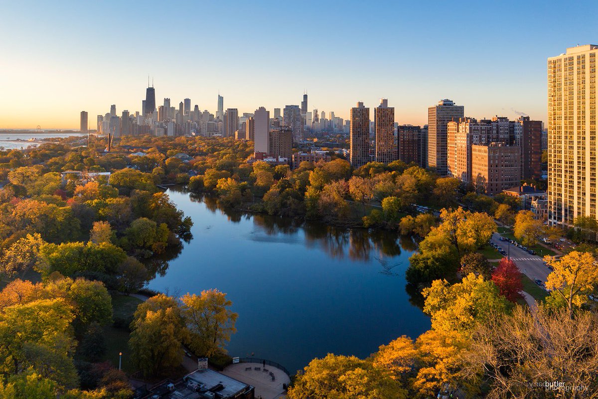 Chicago, you're golden.  Wednesday morning over North Pond in Lincoln Park.  #weather #news #ilwx #chicago