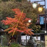 ツイートに含まれる画像