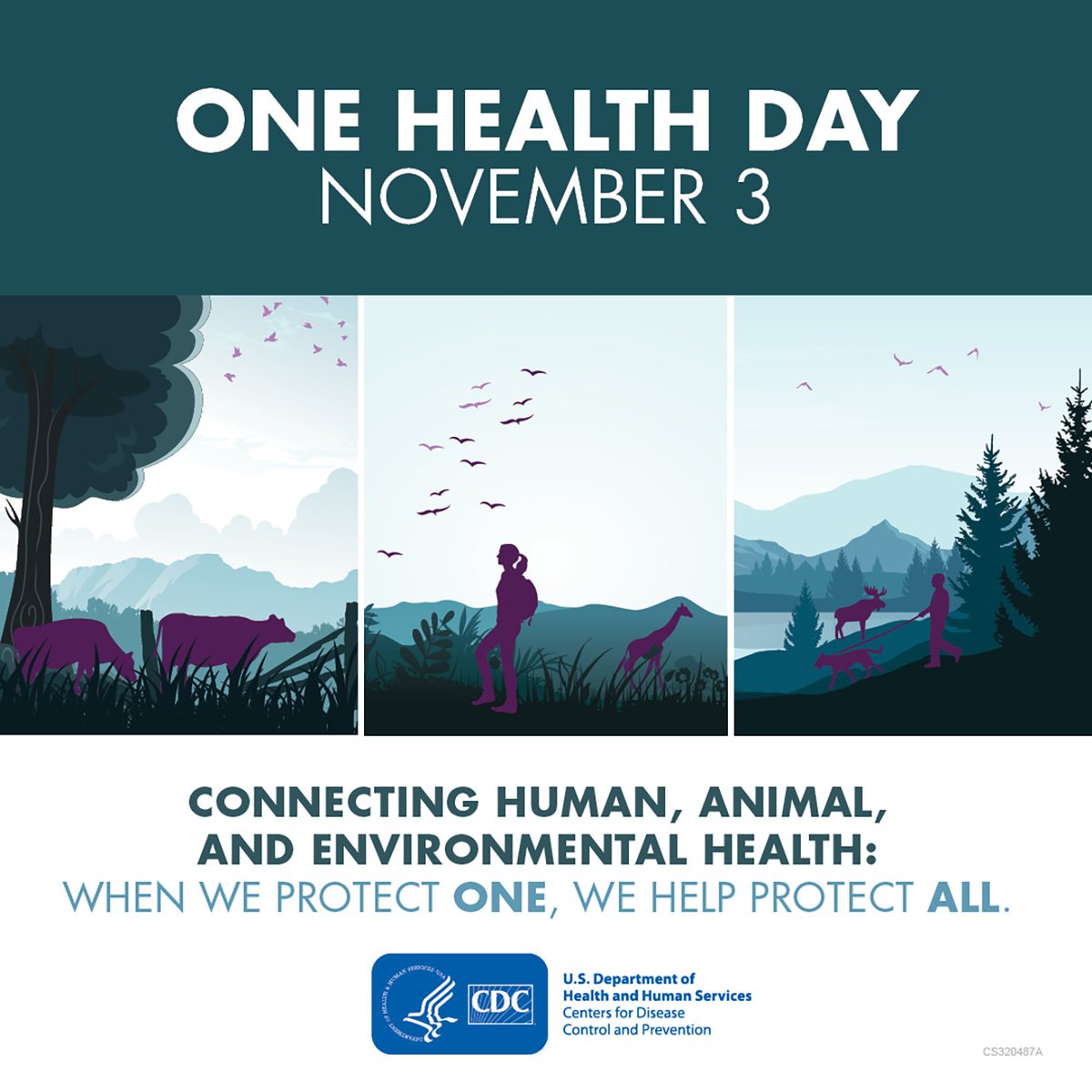 APHA_OneHealth's tweet photo. Happy One Health Day!!

 @APHA_OneHealth with our friends at @DACVPM are celebrating by compiling a list of what our members and followers consider the most important/critical One Health issues facing us today. Comment here with your suggestions! #OneHealthDay2021 #OneHealth https://t.co/6qqWF4ZaQG