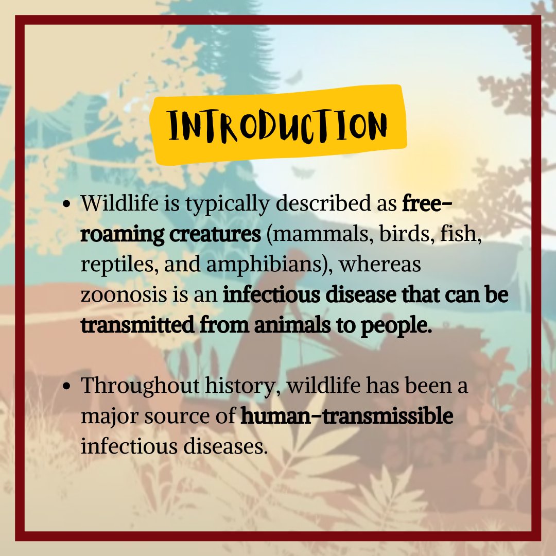 IvsaIndia's tweet photo. "Transmission of Infection From Wild animals to Human population"
Most of the human infections are zoonotic &amp; wildlife is one of the major sources. The latest devastating example is the Covid-19 outbreak, spread by bats.
As veterinarians let's vow to prevent zoonotic infection. https://t.co/PimKYMh4FY
