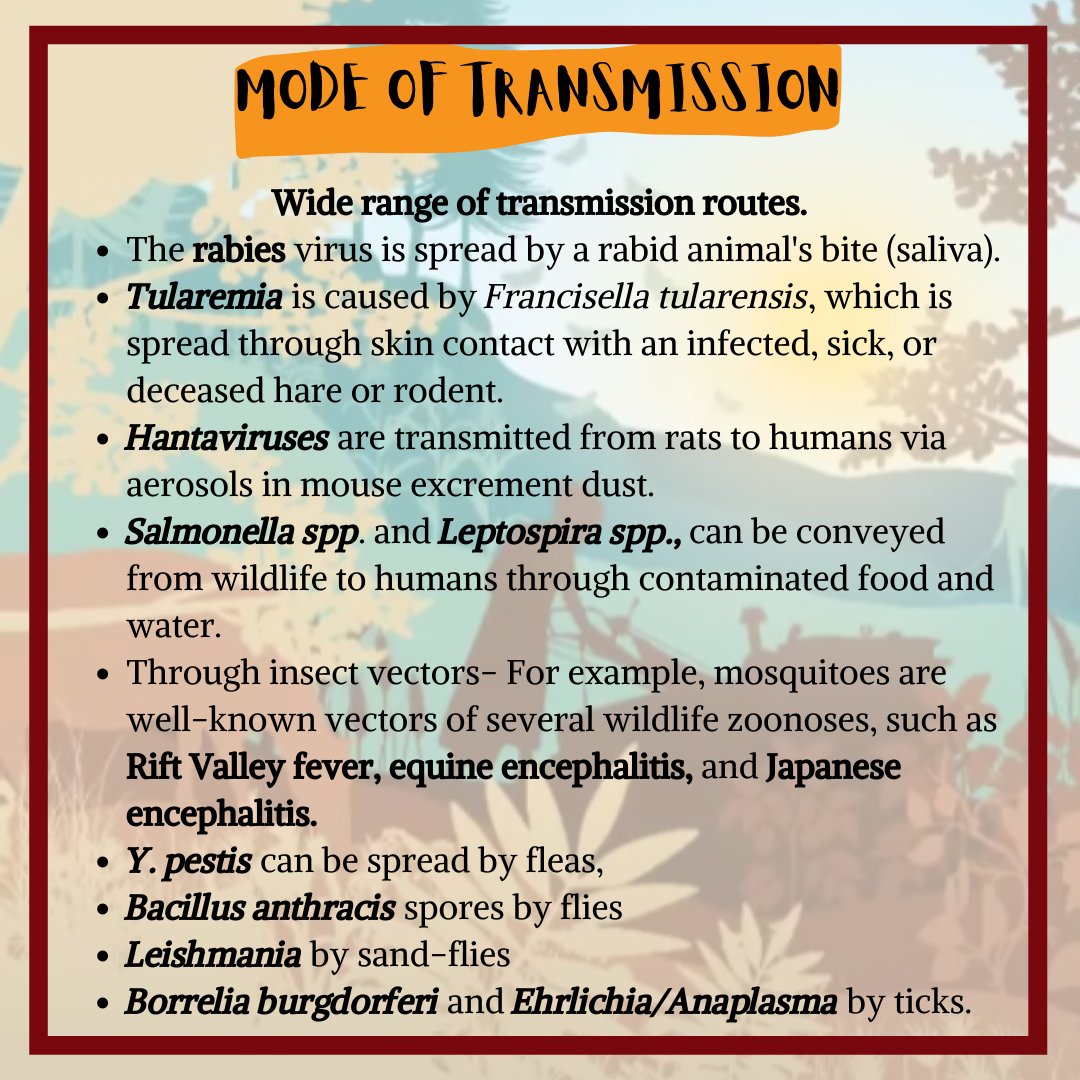 IvsaIndia's tweet photo. "Transmission of Infection From Wild animals to Human population"
Most of the human infections are zoonotic &amp; wildlife is one of the major sources. The latest devastating example is the Covid-19 outbreak, spread by bats.
As veterinarians let's vow to prevent zoonotic infection. https://t.co/PimKYMh4FY