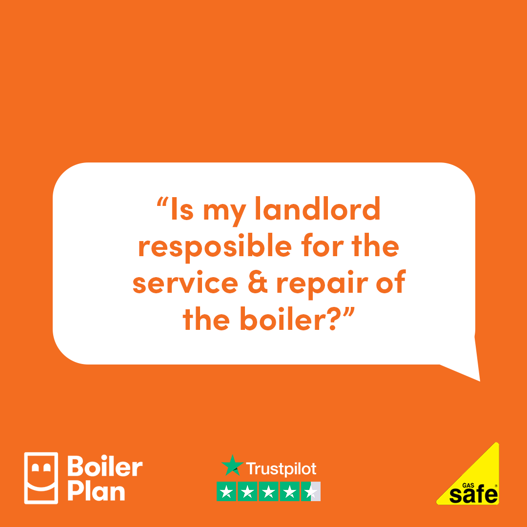 Boiler Plan tweet media