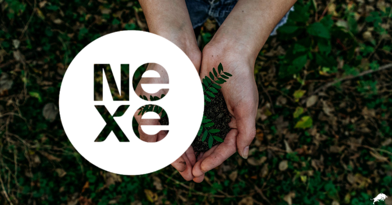 equitydotguru's tweet photo. NEXE Innovations #Stock has run more than 100% since their low on Friday after announcing a major milestone - Here's what you need to know☕

@nexeinnovations 🍁 $NEXE 🇺🇸 $NEXNF
#Sustainable #PlantBased
