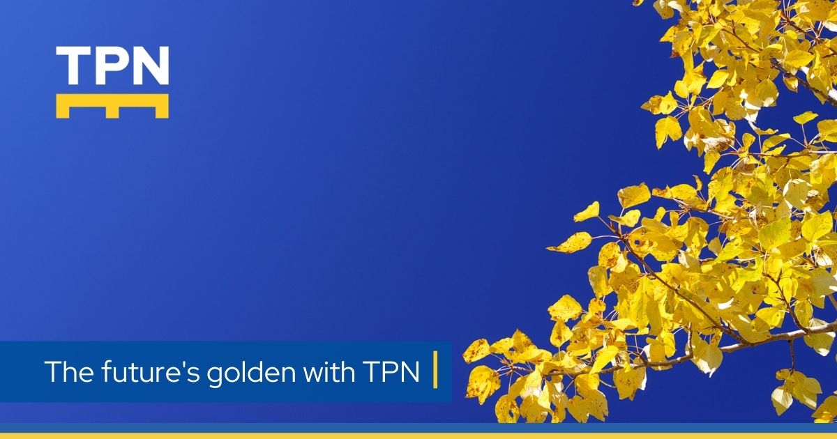 THE Pallet Network tweet media