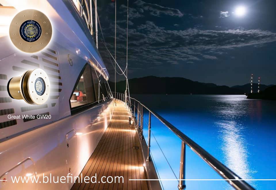 southwestmarine's tweet photo. Great White GW20 Underwater Excellence 

https://t.co/GE2KgW9dpV
#bluefinled #yachtlights https://t.co/0Yl510uTeU