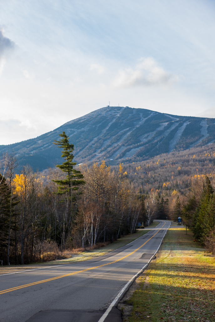 Sugarloaf Mountain tweet media