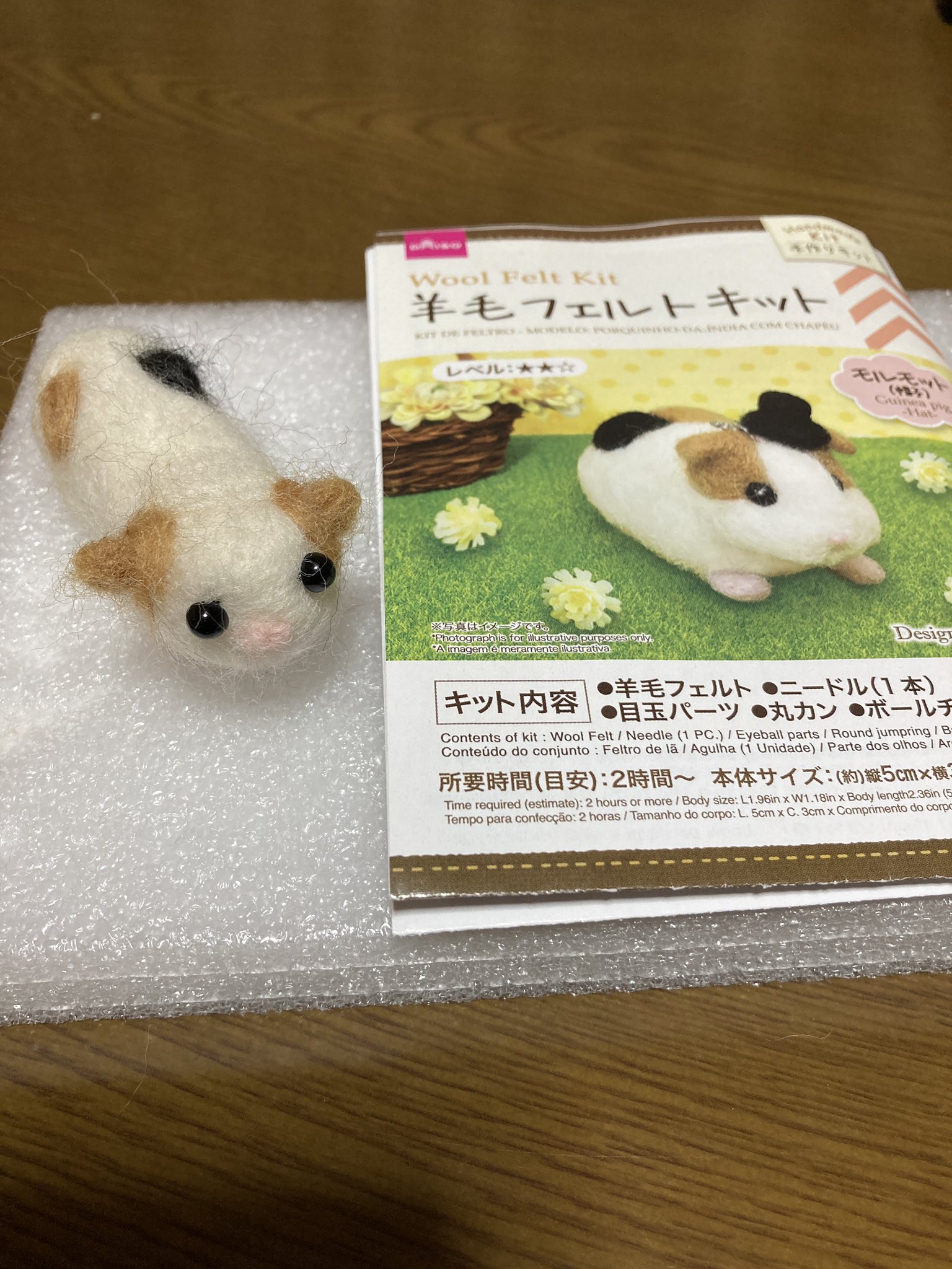 羊毛フェルト　モルモット イオンカルチャークラブ北千里店 『はじめての羊毛フェルト