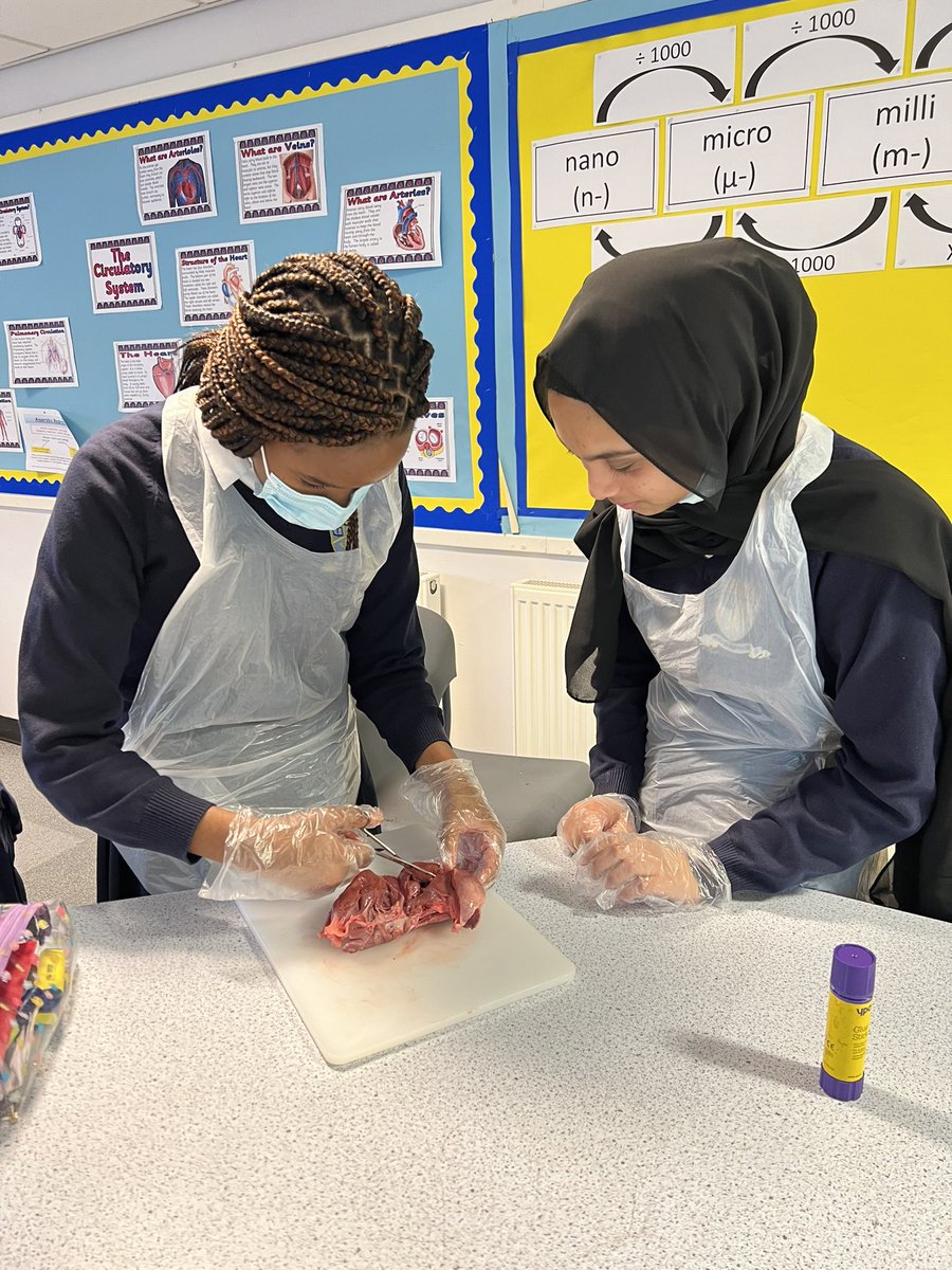 Year 11 dissecting hearts this afternoon 🫀<a href="/allsaintsccduk/">All Saints CC</a>