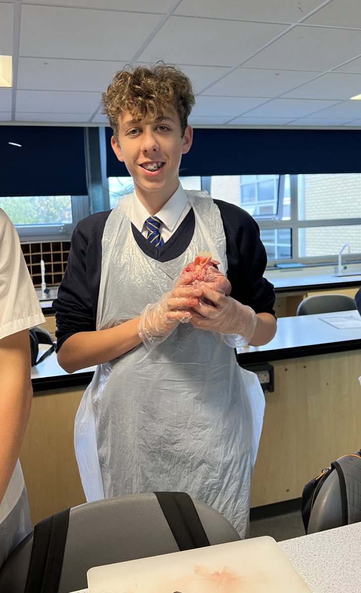 All Saints Science tweet media
